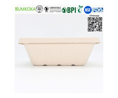 Wholesale China 500ML 700ML 850ML 1000ML Compostable Bagasse Bento Box with Lid