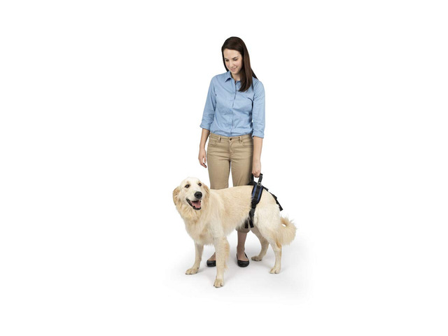 Solvit PetSafe CareLift Rear-Only Lifting Harness - 1/2