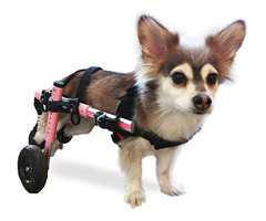 Dog Wheelchair for Back Legs