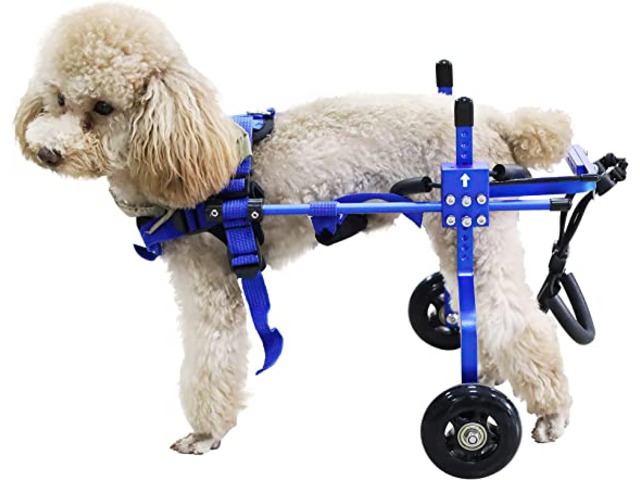 HobeyHove Adjustable Pet Wheelchair - 1/1