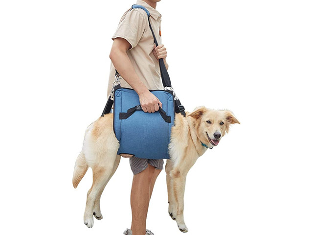 Emergency Backpack Pet Legs Support - 1/2