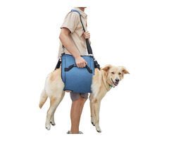 Emergency Backpack Pet Legs Support - 1