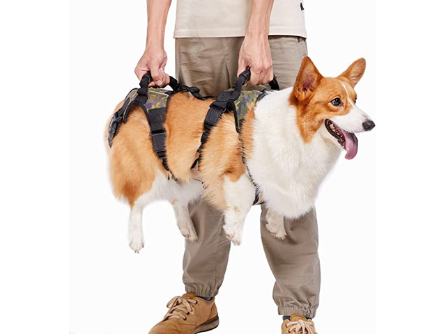 Coodeo Dog Lift Harness - 1/1
