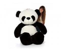 Hug 'N' Feel 3 Feet Panda Soft Toys - 1