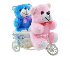 Romantic Cycle Teddy Bear Gifts for Wife, Girlfriend On Anniversary, Valentine's Day