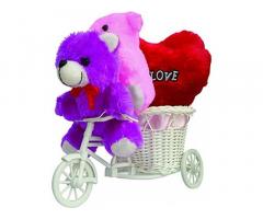 Romantic Cycle Teddy Love Heart Gifts for Wife Girlfriend On Birthday, Anniversary