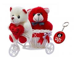 Skytrends Dscs007 Romantic Valentine Love Couple Plastic Cycle Teddy Basket - 1