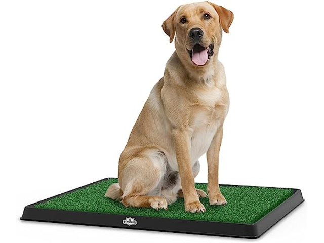 Artificial Grass Puppy Pee Pad for Dogs and Small Pets - 1/1