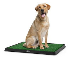 Artificial Grass Puppy Pee Pad for Dogs and Small Pets - 1