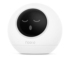 Noorio T110 Security Camera Work with Alexa