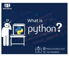 Python Potpourri: A Diverse Coding Journey