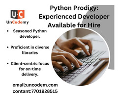 Python Prodigy: Experienced Developer Available for Hire - 1