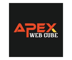 Apex Web Cube - 1