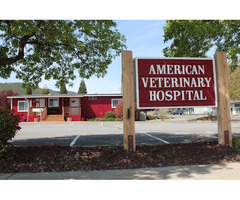 American Veterinary Hospital - 1
