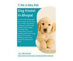 Dog Hostel in Bhopal