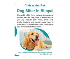 Dog Sitter in Bhopal