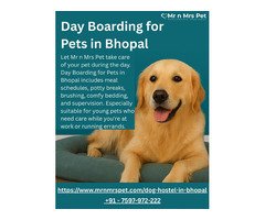 Day Boarding for Pets in Bhopal