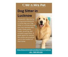 Dog Sitter in Lucknow