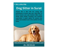 Dog Sitter in Surat
