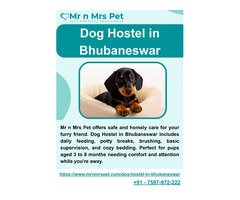 Dog Hostel in Bhubaneswar