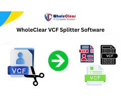 WholeClear vCard Data Organizer for Quick Work