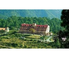 Resort Hotel in Khurpatal Near Nainital | Peaceful Stay at Dynasty Resort
