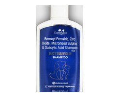 Actiwash Shampoo For Cat and Dog