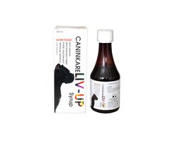 CaninKare Liv-UP Syrup Supplements For Dog