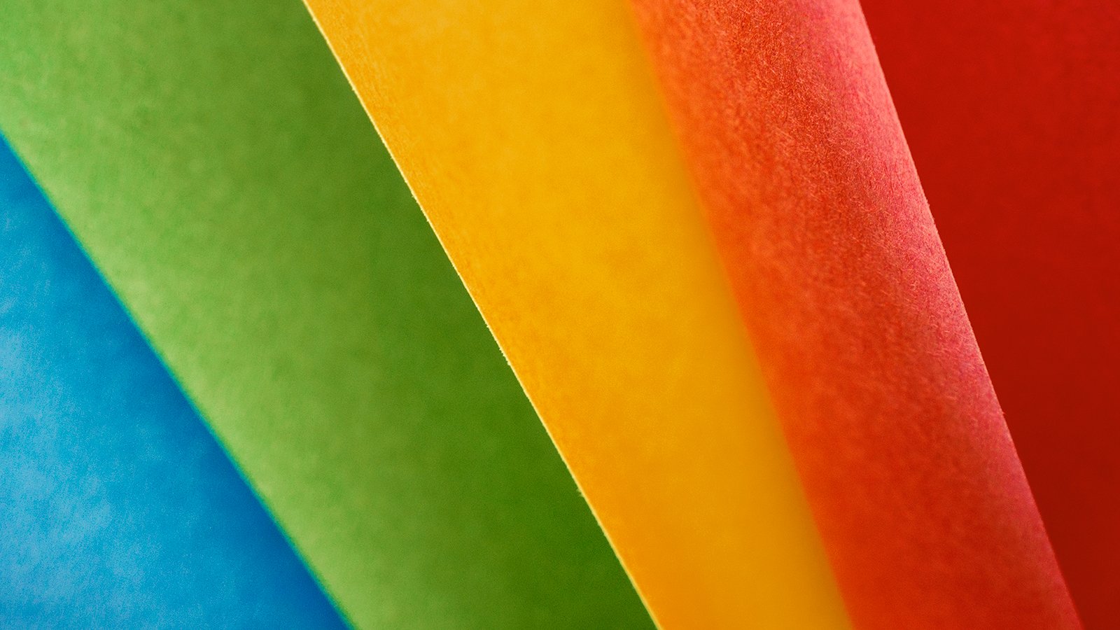 Is the Labrador a good family dog?