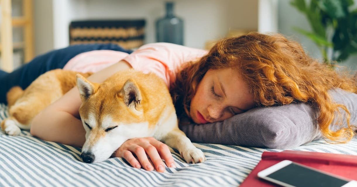 Should You Share Your Bed with Your Dog?